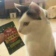 ヒメ日記 2025/06/02 03:58 投稿 あやか 横浜ミセスアロマ（ユメオト）