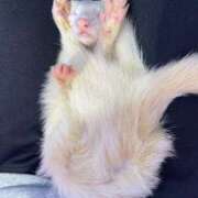 ヒメ日記 2025/05/06 13:57 投稿 もね 涼泉（りょうせん）