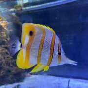 ヒメ日記 2025/05/23 11:09 投稿 もね 涼泉（りょうせん）