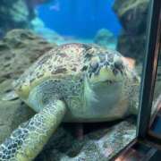 ヒメ日記 2025/07/17 11:06 投稿 もね 涼泉（りょうせん）