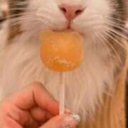 ヒメ日記 2025/07/24 10:43 投稿 もね 涼泉（りょうせん）