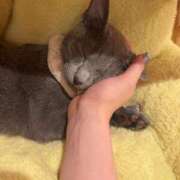 ヒメ日記 2025/09/16 08:45 投稿 もね 涼泉（りょうせん）