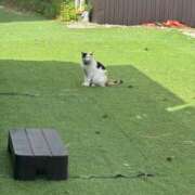 ヒメ日記 2025/09/29 11:59 投稿 もね 涼泉（りょうせん）