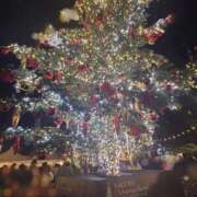 ヒメ日記 2025/12/09 11:51 投稿 もね 涼泉（りょうせん）