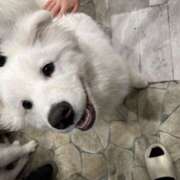 ヒメ日記 2025/08/27 01:30 投稿 みずき 神田はっち