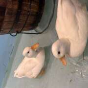 ヒメ日記 2025/09/03 23:35 投稿 みずき 神田はっち