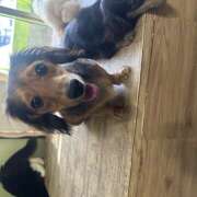 ヒメ日記 2025/10/24 19:57 投稿 みずき 神田はっち