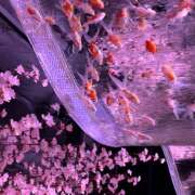 ヒメ日記 2026/01/21 01:28 投稿 みずき 神田はっち