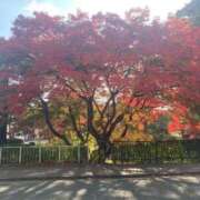 ヒメ日記 2025/11/24 10:48 投稿 あずさ☆プレミアム☆ 白いぽっちゃりさん仙台店