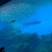 ヒメ日記 2026/01/16 18:54 投稿 あずさ☆プレミアム☆ 白いぽっちゃりさん仙台店