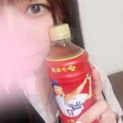 ヒメ日記 2025/04/01 01:53 投稿 花村れん 厚木OL委員会