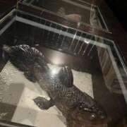 ヒメ日記 2025/05/09 21:38 投稿 みやこ PHANTOM(ファントム)