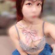 ヒメ日記 2025/10/17 08:02 投稿 ねいろ ていくぷらいど.学園