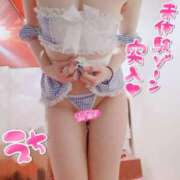 ヒメ日記 2025/02/15 19:47 投稿 しのぶ 推しの娘