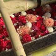 ヒメ日記 2026/02/23 16:03 投稿 美里さふ ワイフコレクション