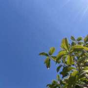 ヒメ日記 2026/03/05 13:00 投稿 美里さふ ワイフコレクション