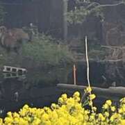 ヒメ日記 2026/03/09 21:01 投稿 美里さふ ワイフコレクション