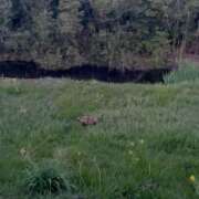 ヒメ日記 2026/03/12 20:43 投稿 美里さふ ワイフコレクション