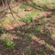 ヒメ日記 2026/03/14 17:28 投稿 美里さふ ワイフコレクション