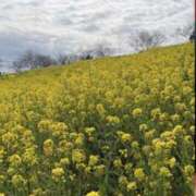 ヒメ日記 2026/03/26 17:30 投稿 美里さふ ワイフコレクション