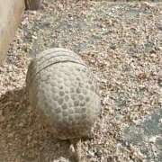 ヒメ日記 2026/03/28 21:32 投稿 美里さふ ワイフコレクション