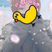 ヒメ日記 2025/04/01 12:00 投稿 みなと 錦糸町人妻セレブリティ（ユメオト）