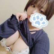 ヒメ日記 2025/12/11 21:00 投稿 こなつ 世界のあんぷり亭 新橋店