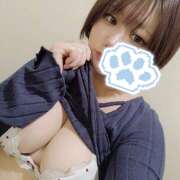 ヒメ日記 2026/02/18 18:00 投稿 こなつ 世界のあんぷり亭 新橋店