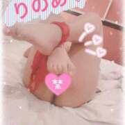 ヒメ日記 2026/01/28 09:20 投稿 りのあ 妻天 日本橋店