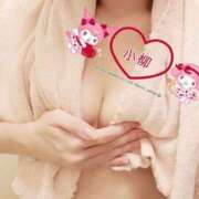 ヒメ日記 2025/02/13 10:44 投稿 小柳 熟女の風俗最終章 横浜本店