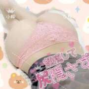 ヒメ日記 2026/02/09 11:54 投稿 小柳 熟女の風俗最終章 横浜本店