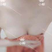 ヒメ日記 2026/02/15 09:14 投稿 小柳 熟女の風俗最終章 横浜本店