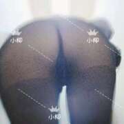 ヒメ日記 2026/03/14 14:14 投稿 小柳 熟女の風俗最終章 横浜本店