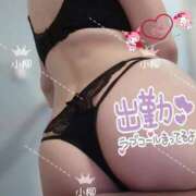 ヒメ日記 2026/03/21 09:49 投稿 小柳 熟女の風俗最終章 横浜本店