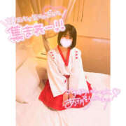 ヒメ日記 2025/12/31 10:41 投稿 すもも ビギナーズ神戸