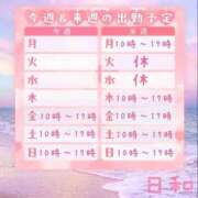 ヒメ日記 2025/06/19 09:00 投稿 ひより 大和人妻城