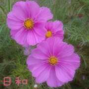 ヒメ日記 2025/09/23 08:25 投稿 ひより 大和人妻城