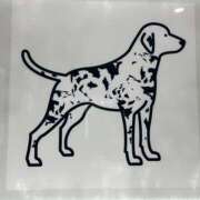 ヒメ日記 2025/04/07 23:01 投稿 みれい 錦糸町人妻セレブリティ（ユメオト）