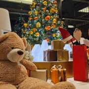 みれい 復活しました♡ 錦糸町人妻セレブリティ（ユメオト）