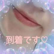 ヒメ日記 2025/04/15 10:36 投稿 本田あゆみ(ほんだあゆみ) 五十路マダムエクスプレス厚木店(カサブランカグループ)