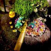 ヒメ日記 2025/04/09 14:20 投稿 外村（とのむら） 熟女の風俗最終章　鶯谷店