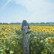 ヒメ日記 2025/03/01 08:00 投稿 澪【みお】 BLENDA V.I.P東京店