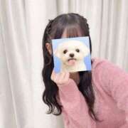 ヒメ日記 2026/01/09 03:45 投稿 澪【みお】 BLENDA V.I.P東京店