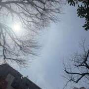 ヒメ日記 2026/03/22 11:52 投稿 澪【みお】 BLENDA V.I.P東京店