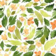 ヒメ日記 2025/06/15 19:16 投稿 さやか 最上級の揉みごたえ！ ウエスト・コム