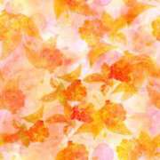 ヒメ日記 2025/06/16 20:50 投稿 さやか 最上級の揉みごたえ！ ウエスト・コム