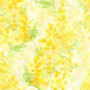 ヒメ日記 2025/06/19 20:56 投稿 さやか 最上級の揉みごたえ！ ウエスト・コム