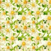 ヒメ日記 2025/07/13 20:43 投稿 さやか 最上級の揉みごたえ！ ウエスト・コム