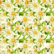 さやか 最上級の揉みごたえ！ 出勤🌱 ウエスト・コム