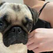 ヒメ日記 2025/08/17 09:33 投稿 RIA（りあ） UTAKATA